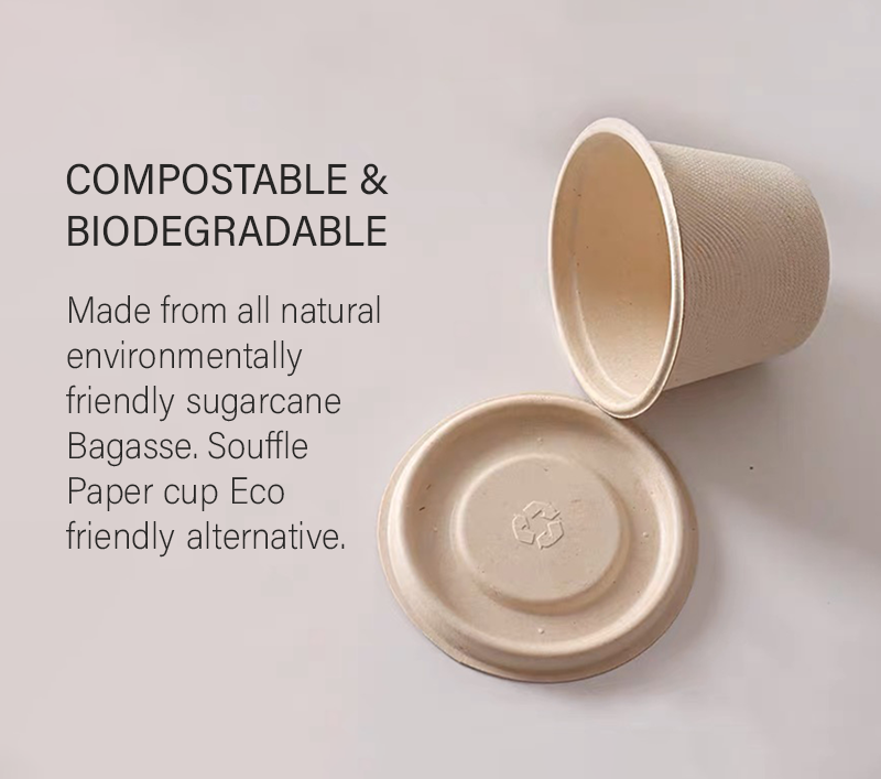 4oz Sugarcane Sauce Cup with PET Lid