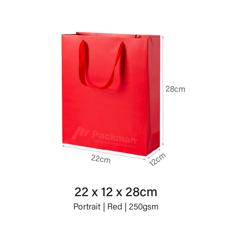 Coloured Rope Red Paper Bag