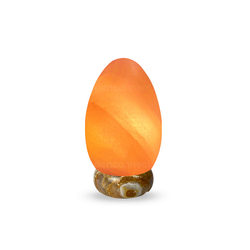 Dino Egg Himalayan Salt Lamp (Pink)