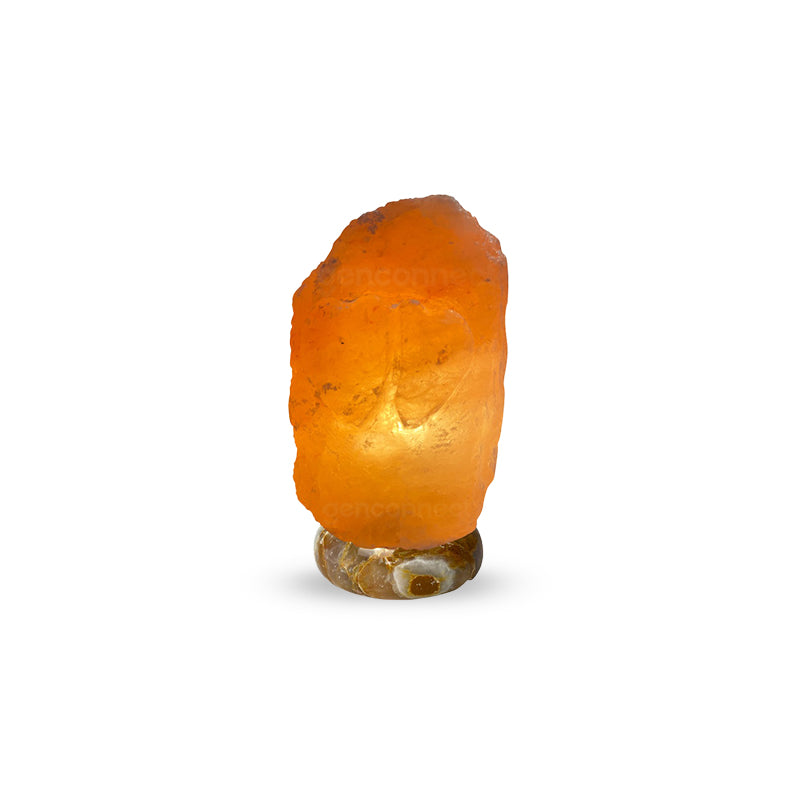 Double Love Himalayan Salt Lamp