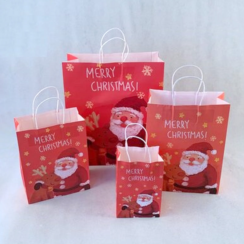 Christmas Gift Bag 4 (10pcs)