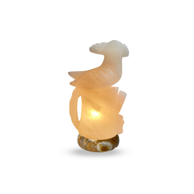 Parrot Himalayan Salt Lamp (White)