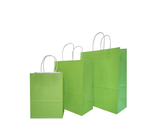 Green Party Gift Bag