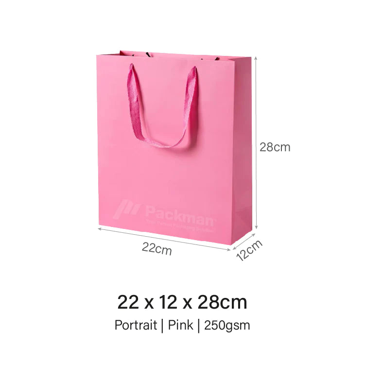 22 x 12 x 28cm Pink Paper Bag (10pcs)