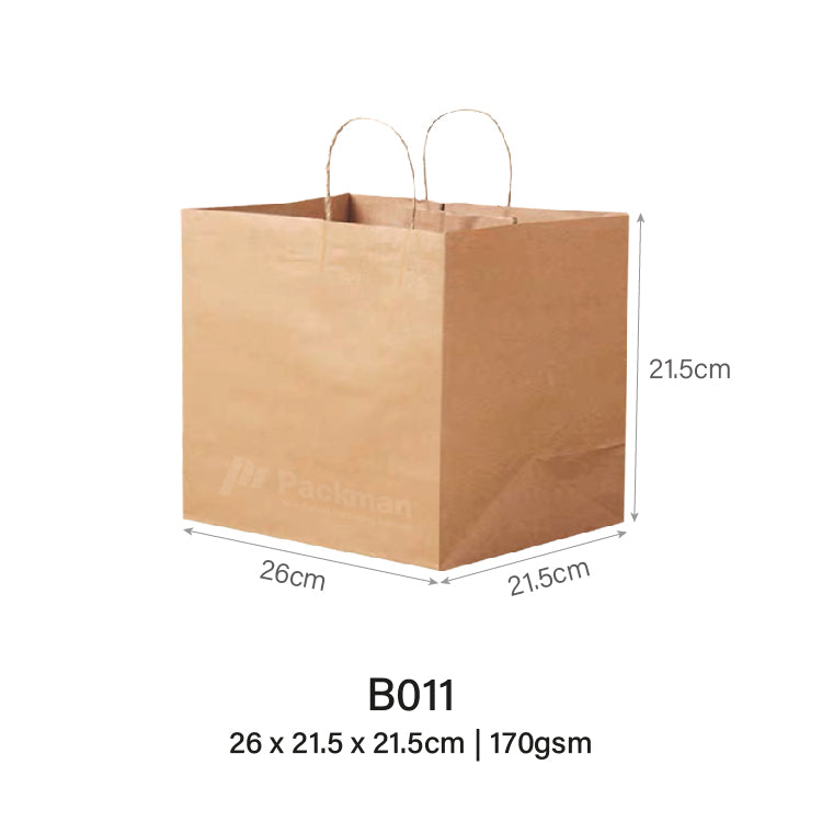 26 x 21.5 x 21.5cm B011 Extra Thick Paper Bag (10pcs)