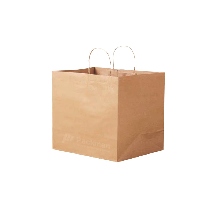 25 x 18 x 25cm B009 Extra Thick Paper Bag (10pcs)