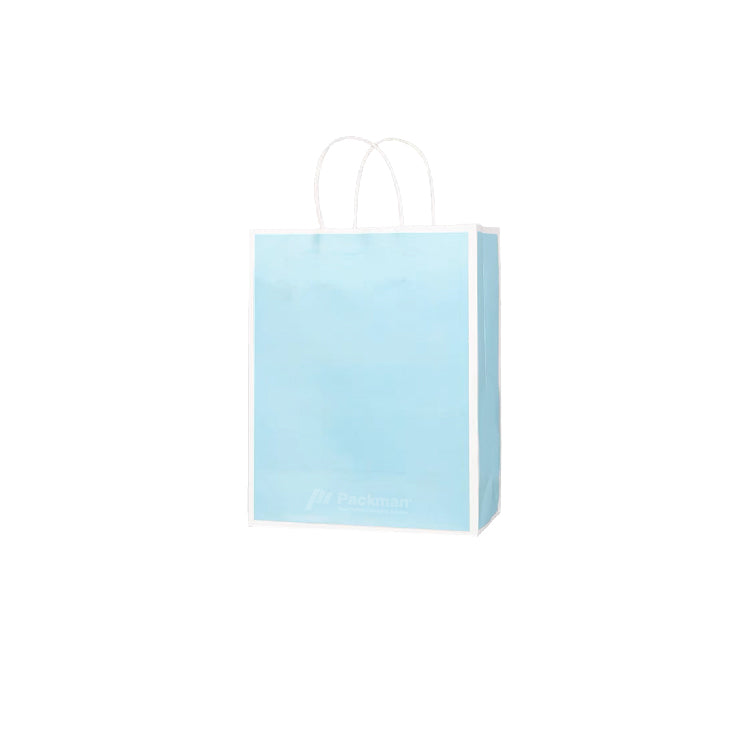 25 x 12 x 32cm Blue with White Border Paper Bag (10pcs)