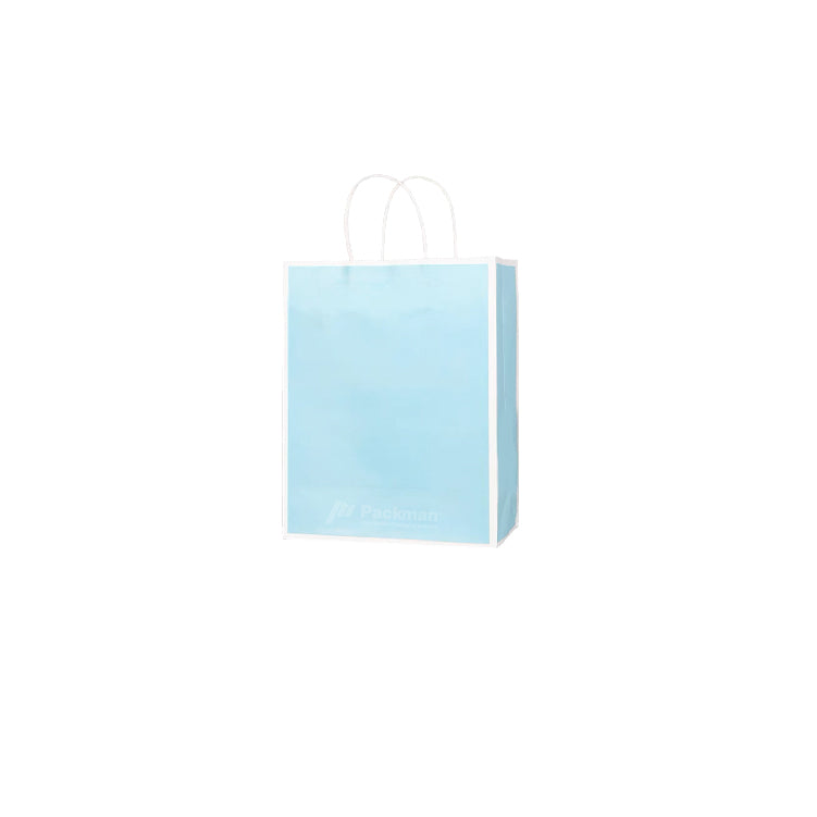 21 x 11 x 27cm Blue with White Border Paper Bag (10pcs)