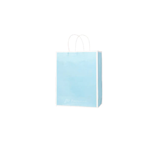 21 x 11 x 27cm Blue with White Border Paper Bag (10pcs)