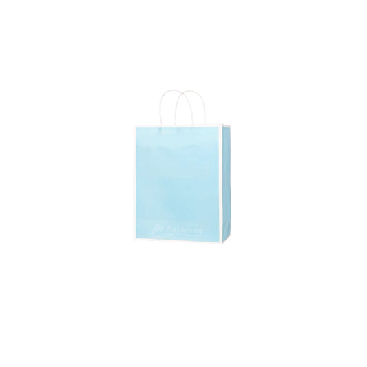 15 x 8 x 21cm Blue with White Border Paper Bag (10pcs)