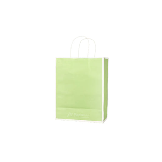 25 x 12 x 32cm Green with White Border Paper Bag (10pcs)