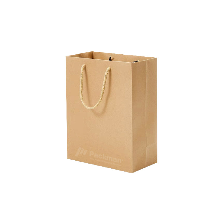 19.8 x 10 x 27.7cm P04 Paper Bag (10pcs)