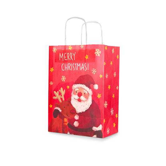 Christmas Gift Bag 4 (10pcs)