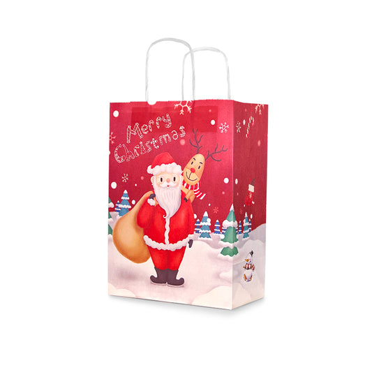 Christmas Gift Bag 9 (10pcs)