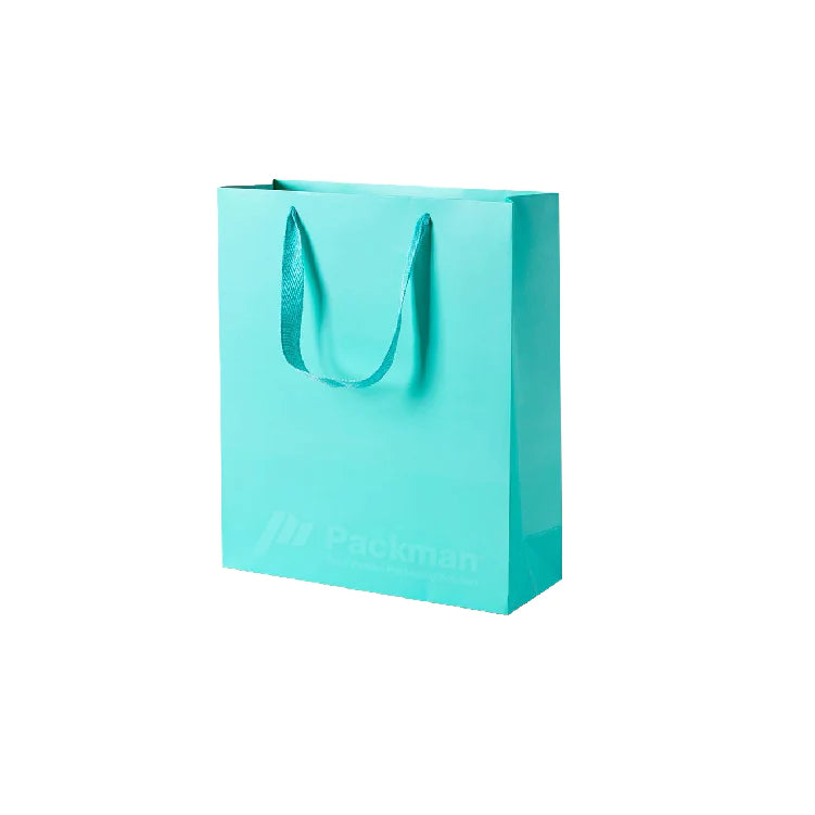 22 x 12 x 28cm Turquoise Paper Bag (10pcs)
