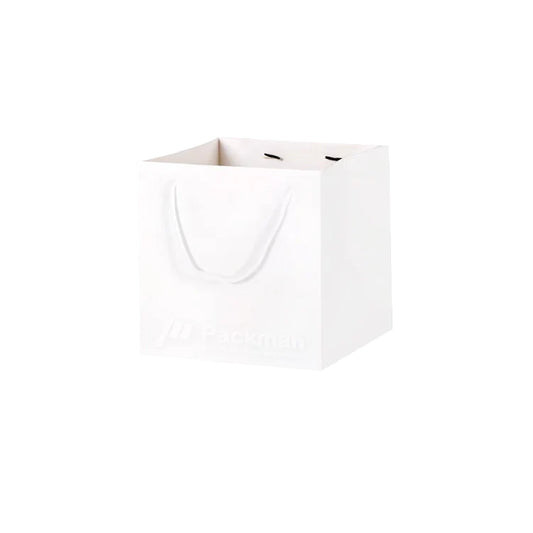 25 x 25 x 25cm Square White Paper Bag (10pcs)