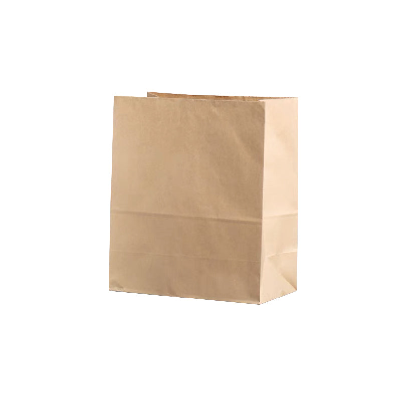 19 x 13.5 x 25cm Kraft Bag