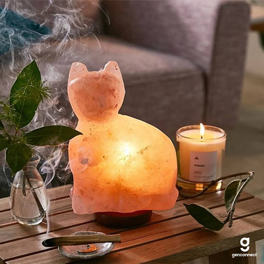 Cat Himalayan Salt Lamp