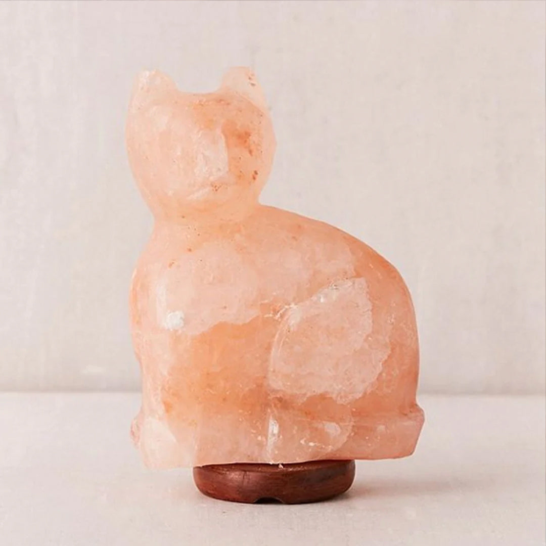 Cat Himalayan Salt Lamp