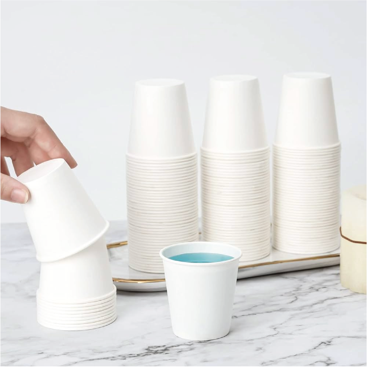 Sampling Cup