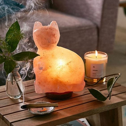 Genconnect: Want to Add a Playful Glow to Your Space? Could an Animal-Shaped Himalayan Salt Lamp Help?