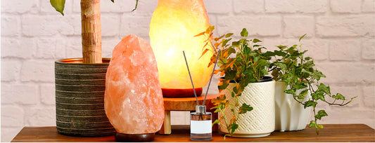 The Aroma Revolution: Embracing the Magic of Oil Diffusers