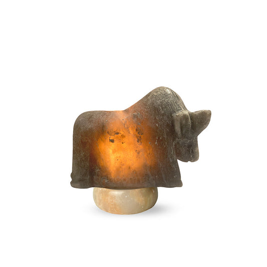 Genconnect: What Is an Ox Himalayan Salt Lamp and What Do the Different Colours Represent?