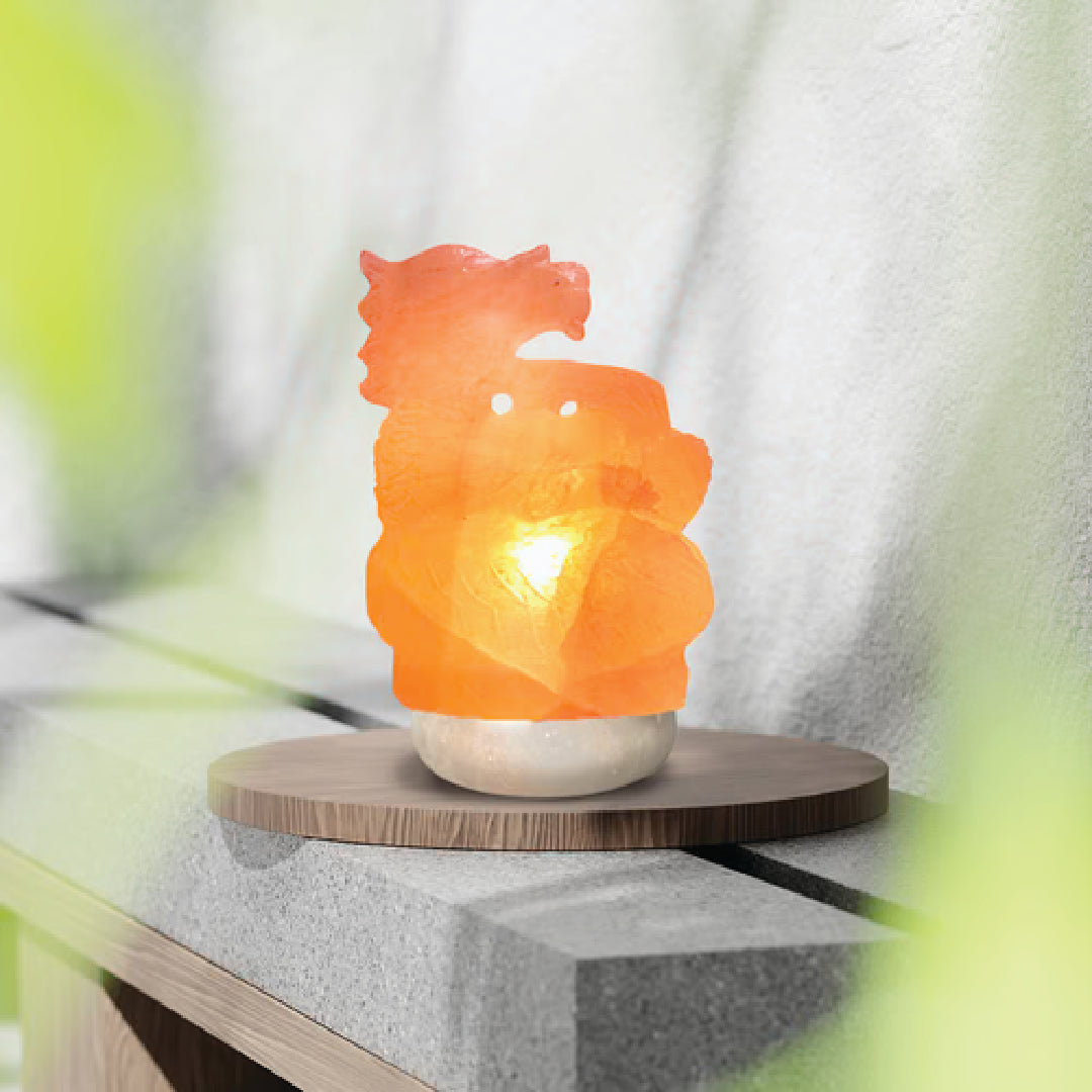 Genconnect: What Makes a Dragon Himalayan Salt Lamp a Meaningful Housewarming Gift?