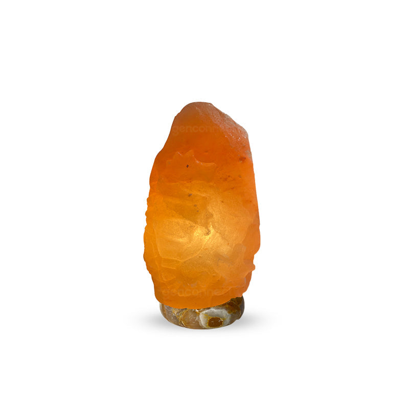 Genconnect: Why Is the Seahorse Himalayan Salt Lamp a Perfect Home Décor Choice?