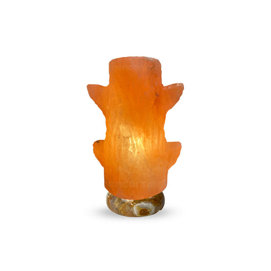 Genconnect: What Makes a Crafted Himalayan Salt Lamp Different From a Natural Shape Lamp?