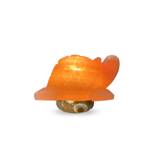 Genconnect: Why Is the Tortoise Himalayan Salt Lamp a Popular Choice for Symbolic and Nature-Inspired Décor?