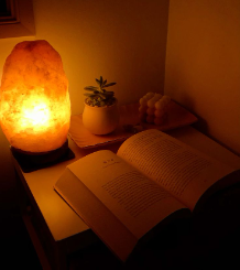 Genconnect: Where Does the Salt Used in Himalayan Salt Lamps Come From?