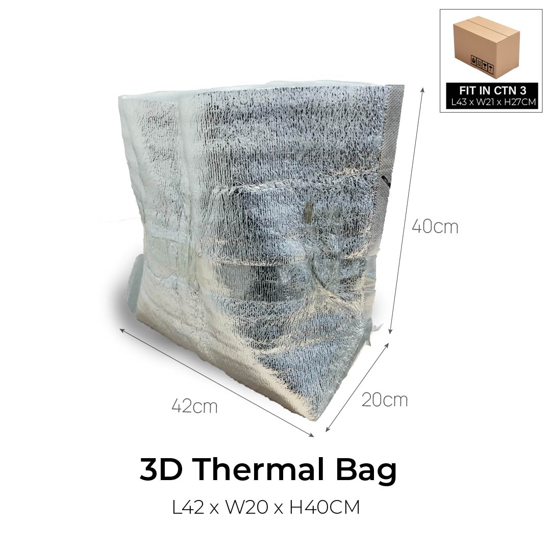 3D Insulated Bubble Bag