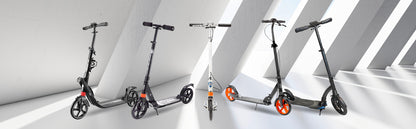 Adult Scooter