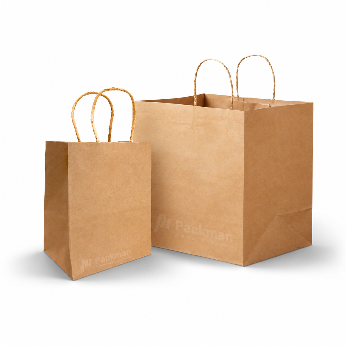 B008, B010 Extra Thick Paper Bag