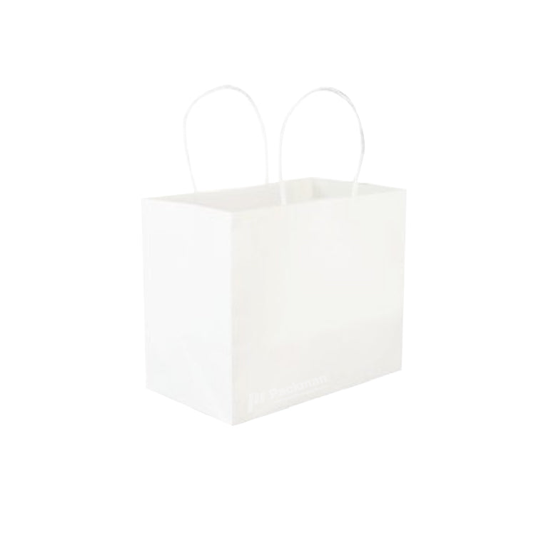 B010 Extra Thick White Paper Bag