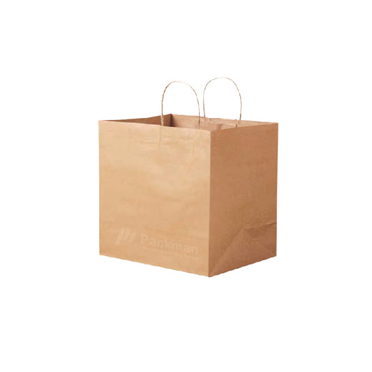 B015 Extra Thick Paper Bag
