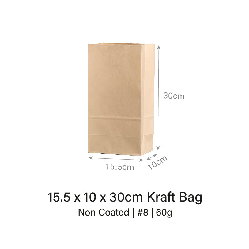 Brown / White Kraft Bag