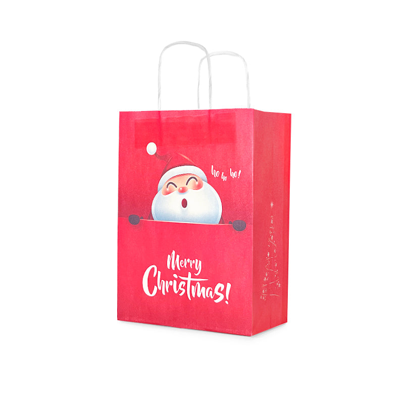 Christmas Gift Bag
