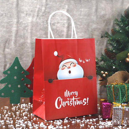 Christmas Gift Bag