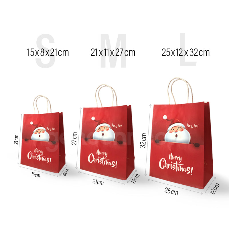Christmas Gift Bag