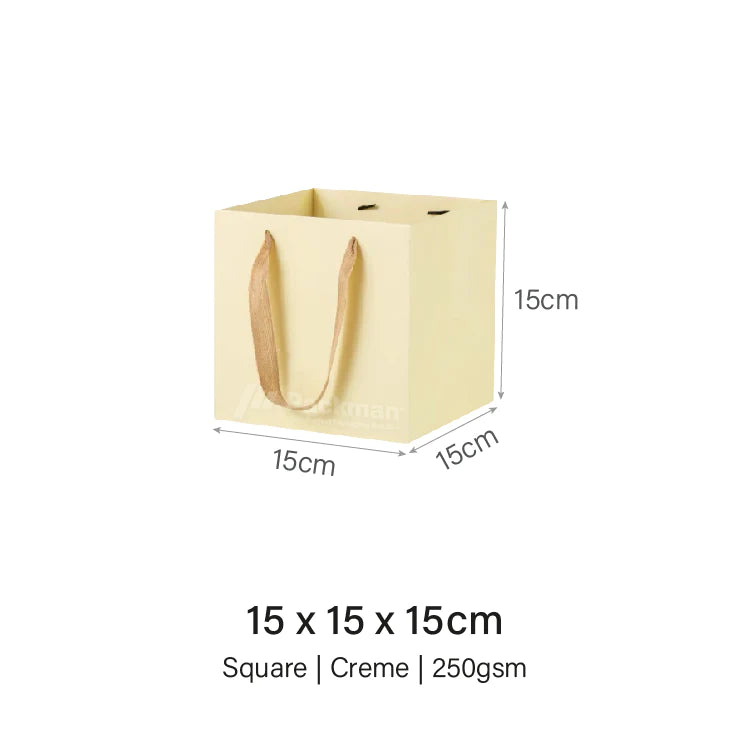 Coloured Rope Creme Paper Bag