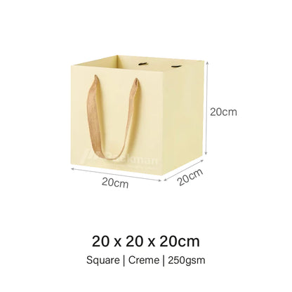 Coloured Rope Creme Paper Bag