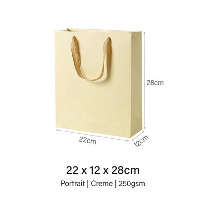 Coloured Rope Creme Paper Bag