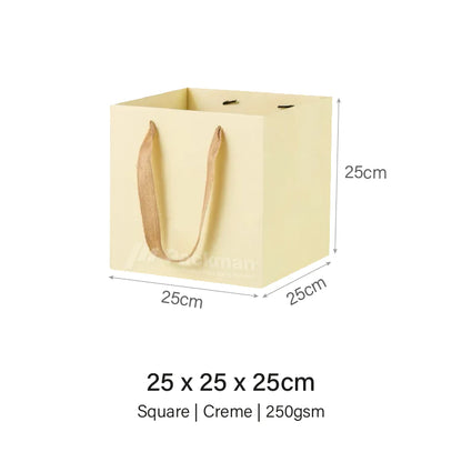 Coloured Rope Creme Paper Bag