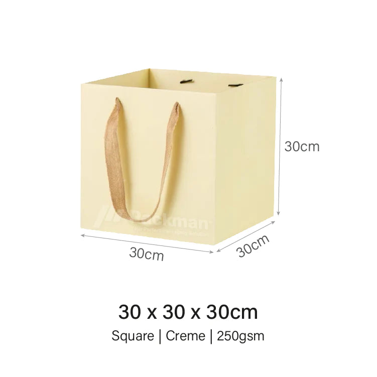 Coloured Rope Creme Paper Bag