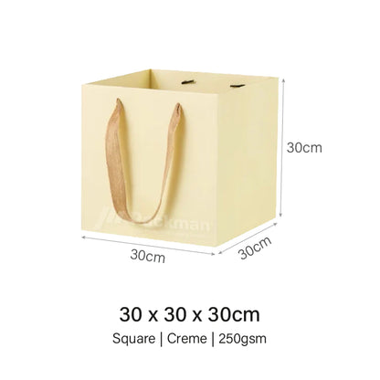 Coloured Rope Creme Paper Bag