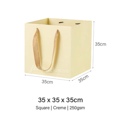 Coloured Rope Creme Paper Bag