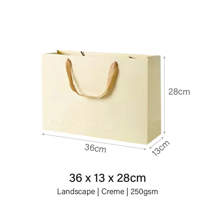 Coloured Rope Creme Paper Bag
