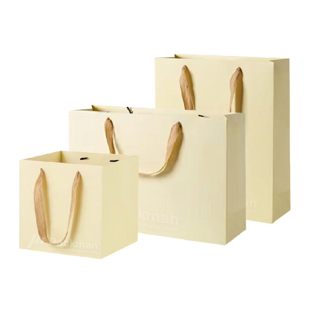 Coloured Rope Creme Paper Bag